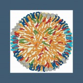 cholesterol in lipoprotein image healthtips images